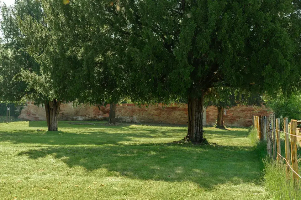 Orangerie Bonrepos-Riquet - IMAGE