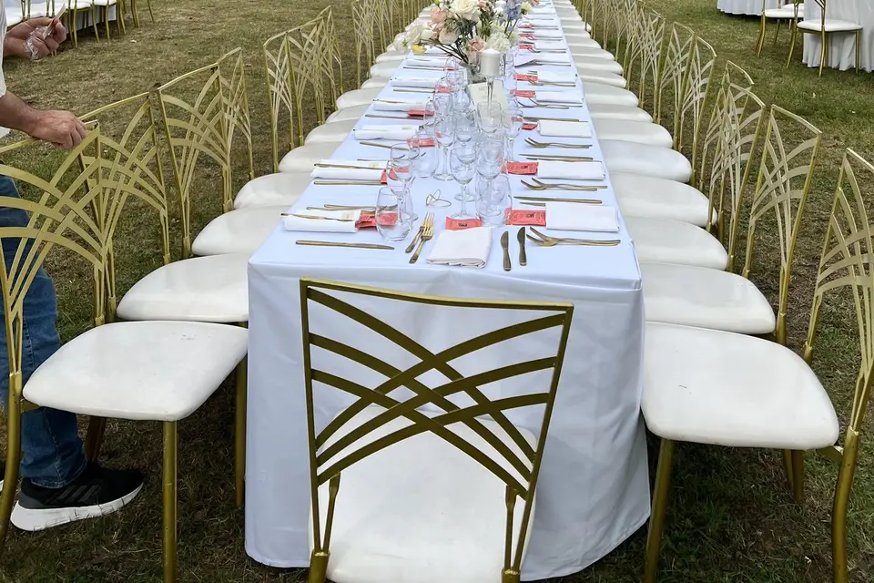 Château de la Plumasserie - IMAGE