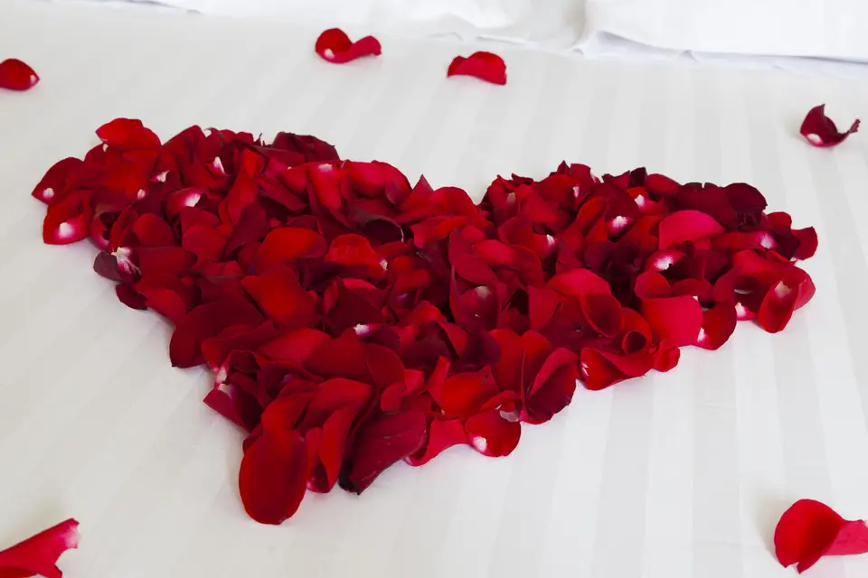 Les Bains de Lavey - IMAGE