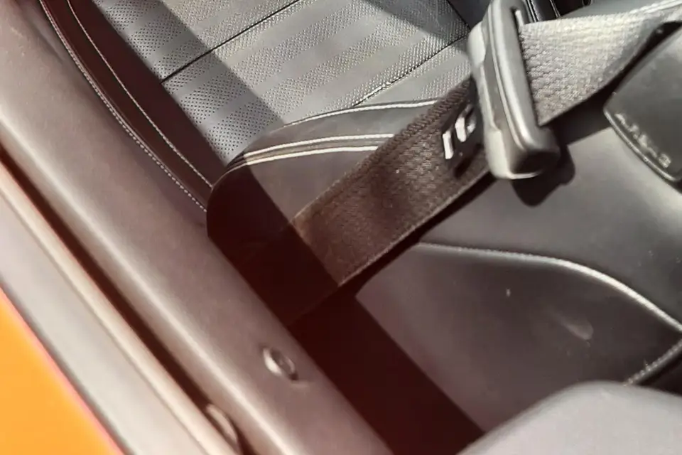 Denis - Mustang - Image 1