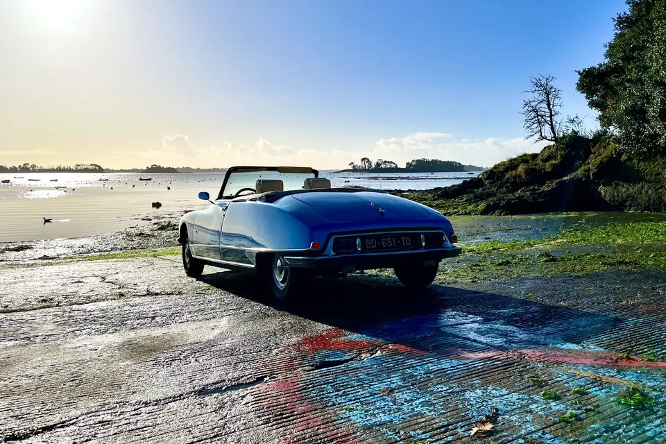 Team Tastefully - IMAGE