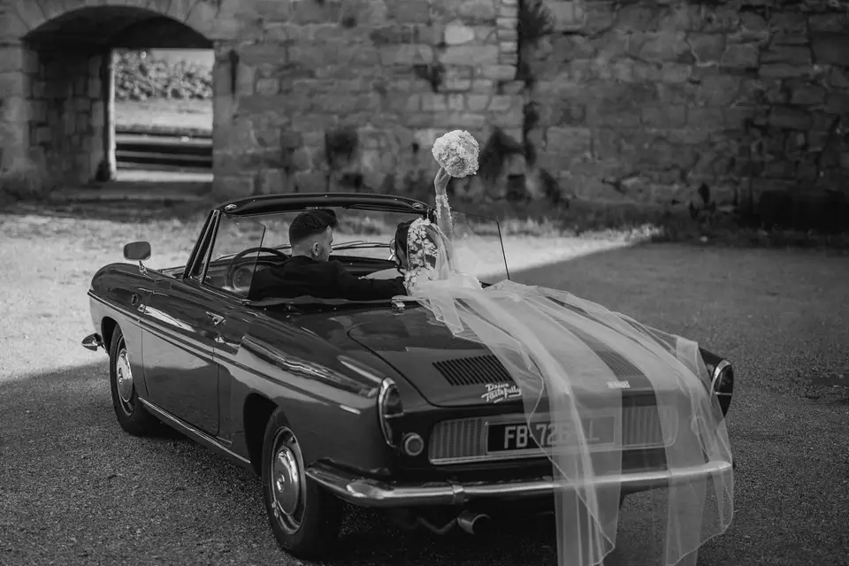 Team Tastefully - IMAGE