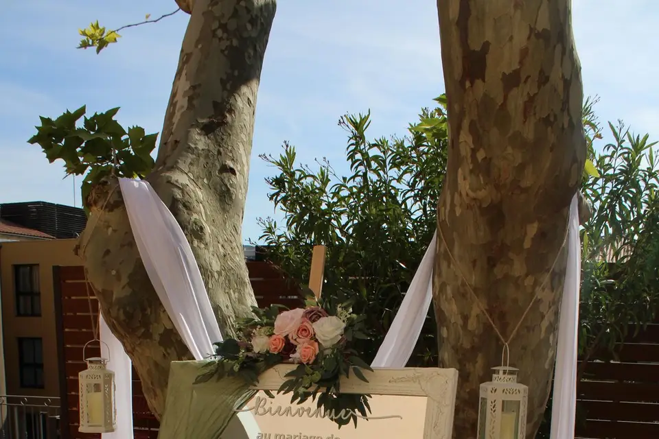 MS Prestige Évent - Image 1