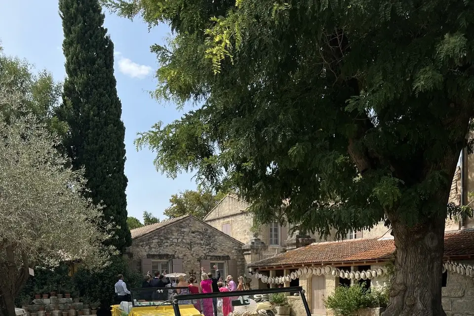 Puravida-Motors - Image 1