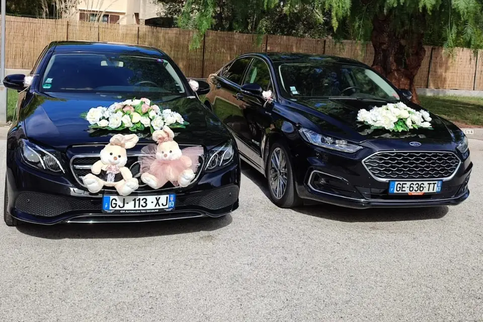 VitalTransAzur - Image 1