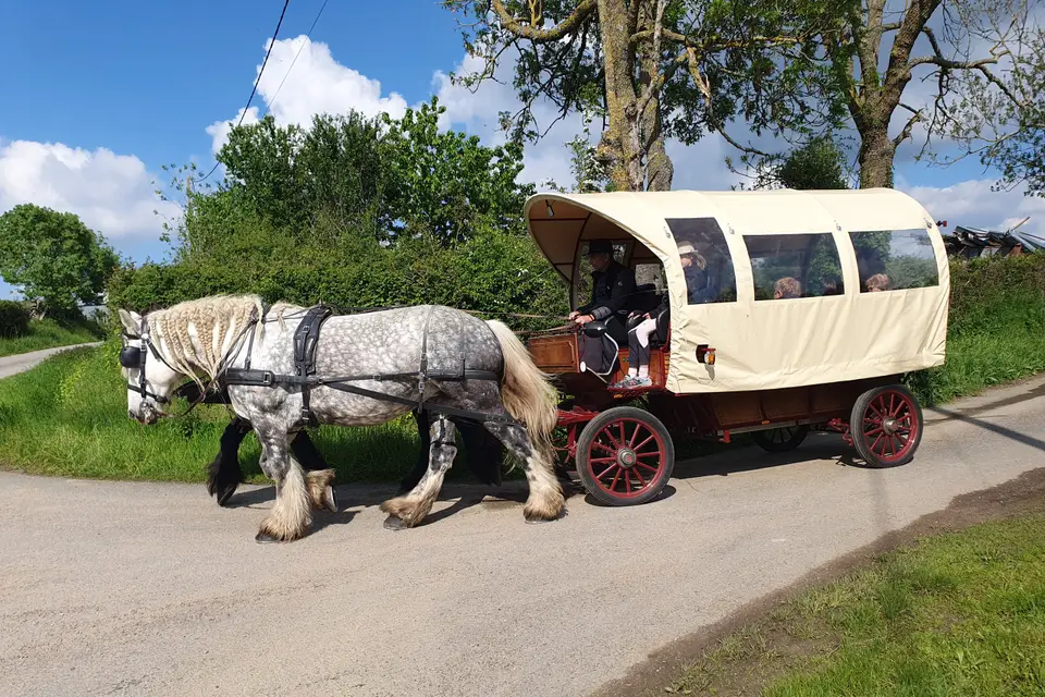 Calèches PJ Attelages - Image 1