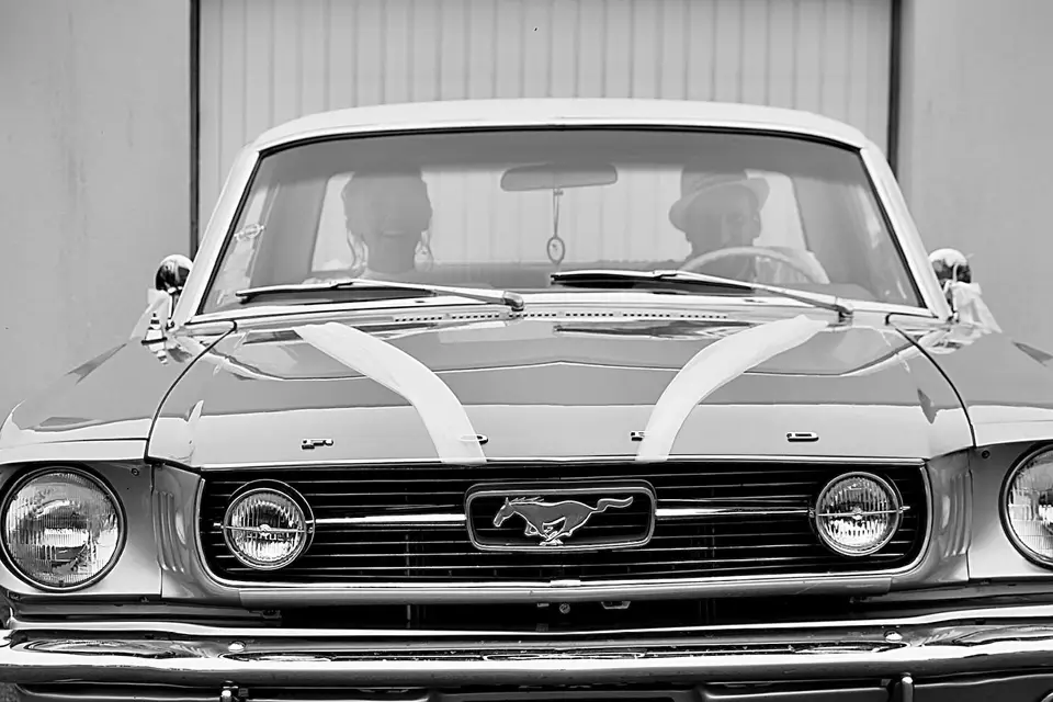 Loc Mustang - Image 1